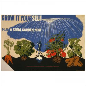 Grow it yourself Plan a farm garden now.