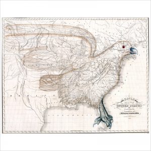 The eagle map of the United States